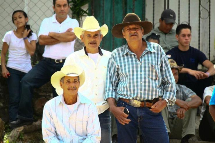 480250_535776796444752_305898964_n